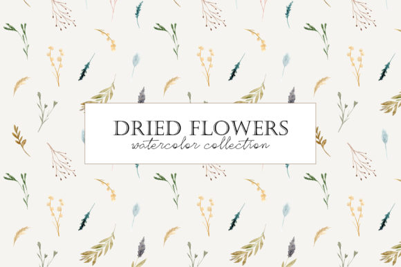 Dried Flowers. Watercolor Collection: A Versatile Toolkit for Creative Projects